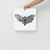 Mushroom Moth Canvas