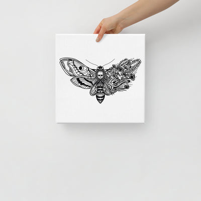 Mushroom Moth Canvas