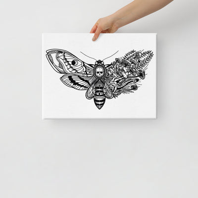 Mushroom Moth Canvas